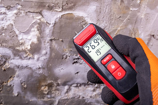 Home Mold Removal in Rock Port, MO