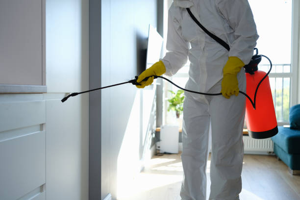 Best Professional Mold Removal  in Rock Port, MO