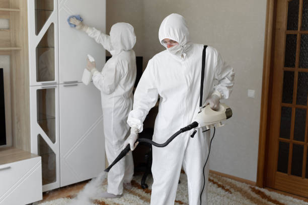 Mold Testing and Removal in Rock Port, MO