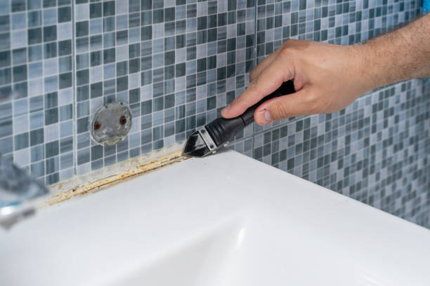 Best Mold Testing and Removal  in Rock Port, MO